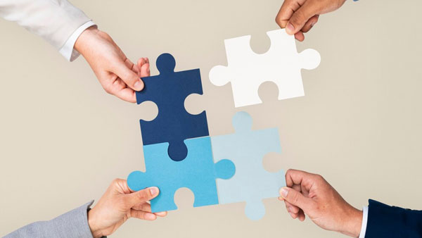 Our Expertise